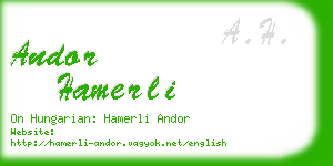 andor hamerli business card